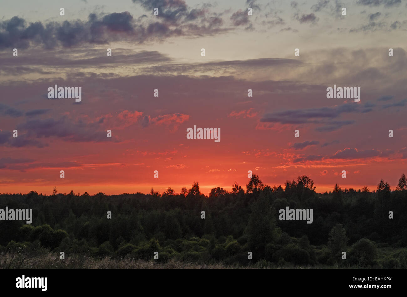 Beautiful sunset luminous path hi-res stock photography and images - Alamy
