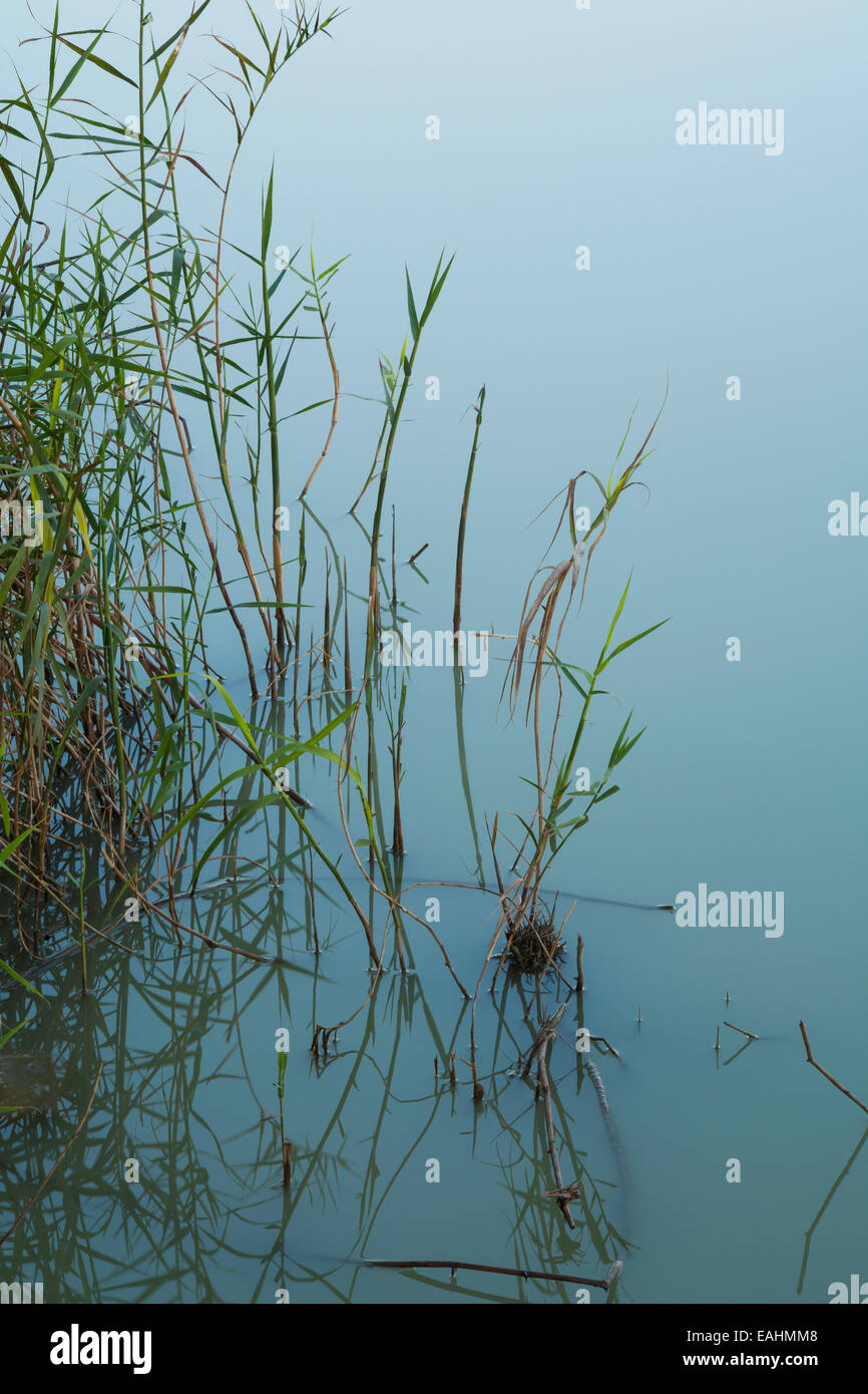 Donna reservoir hires stock photography and images Alamy