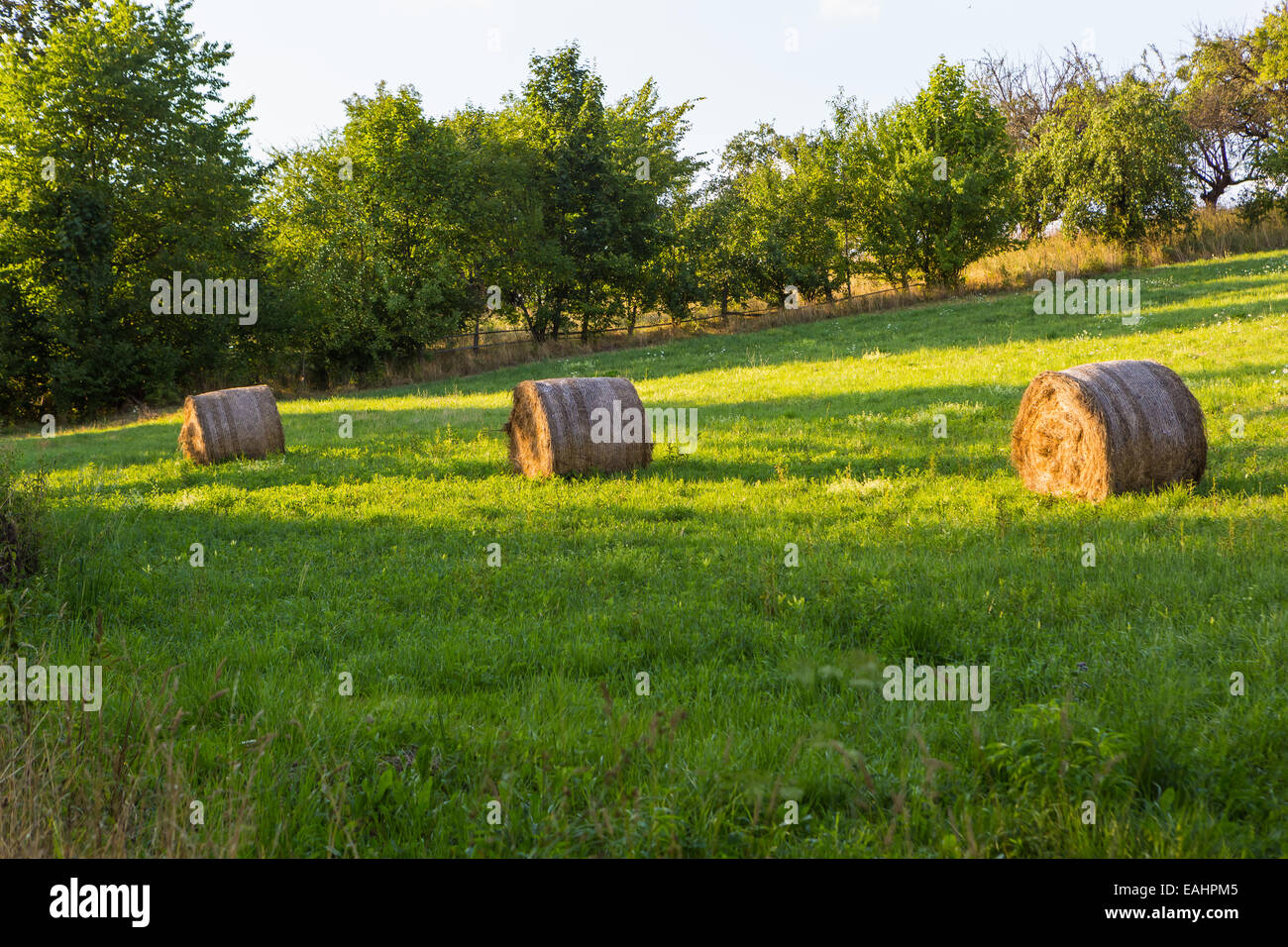 Hay bales on meadow, rural landscape Stock Photo - Alamy