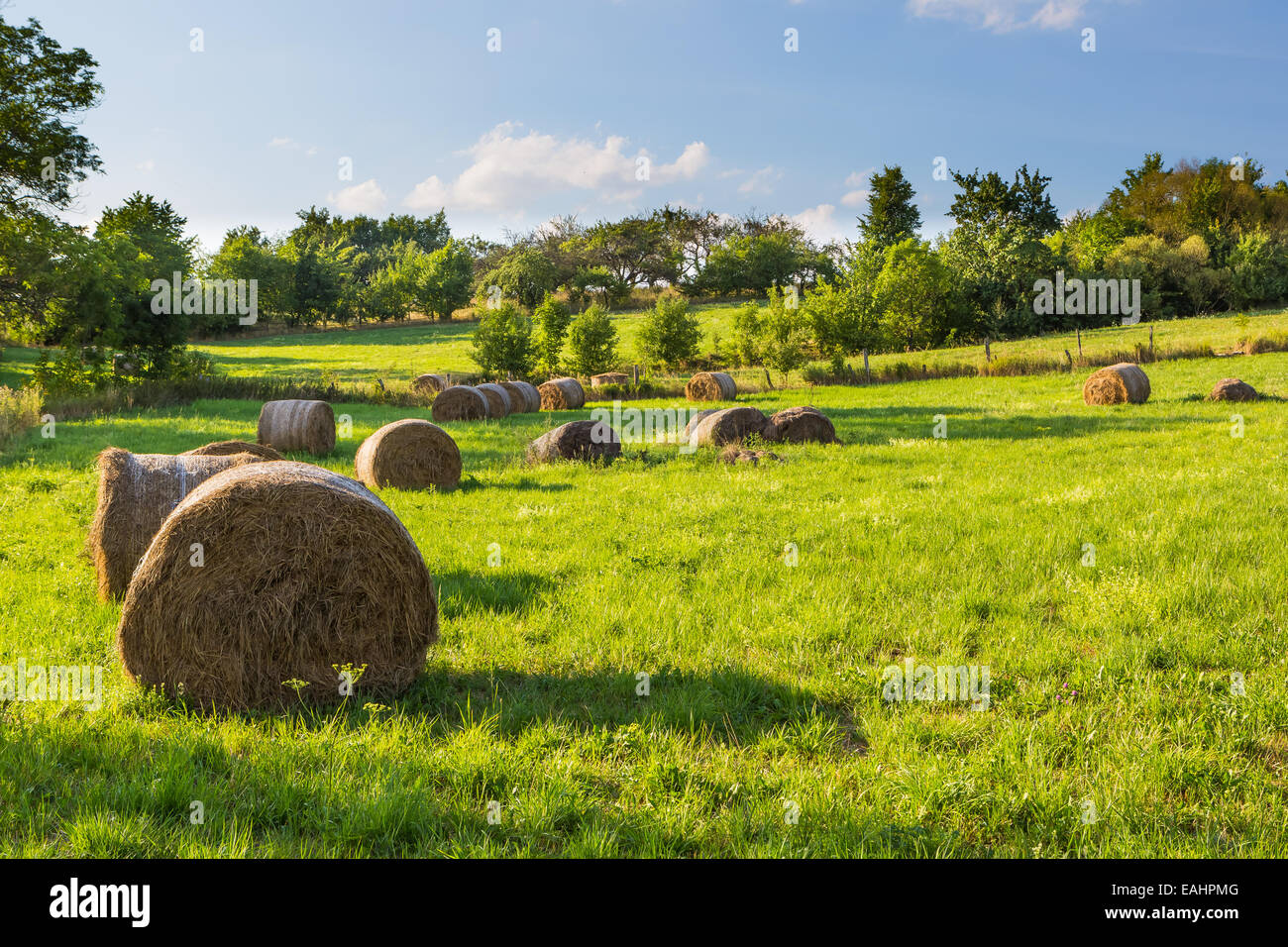 Hay bales on meadow, rural landscape Stock Photo - Alamy