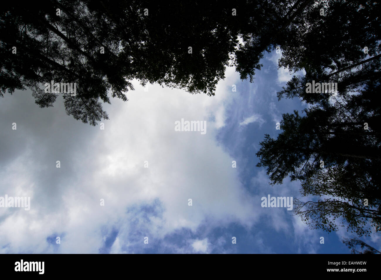 Blue cloudy sky hi-res stock photography and images - Alamy