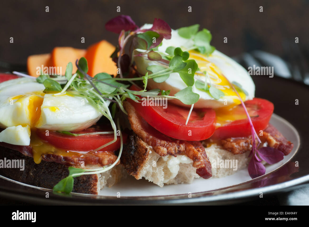 Colorful open faced breakfast sandwich with bacon, tomato, poached egg and sprouts on fresh country bread Stock Photo