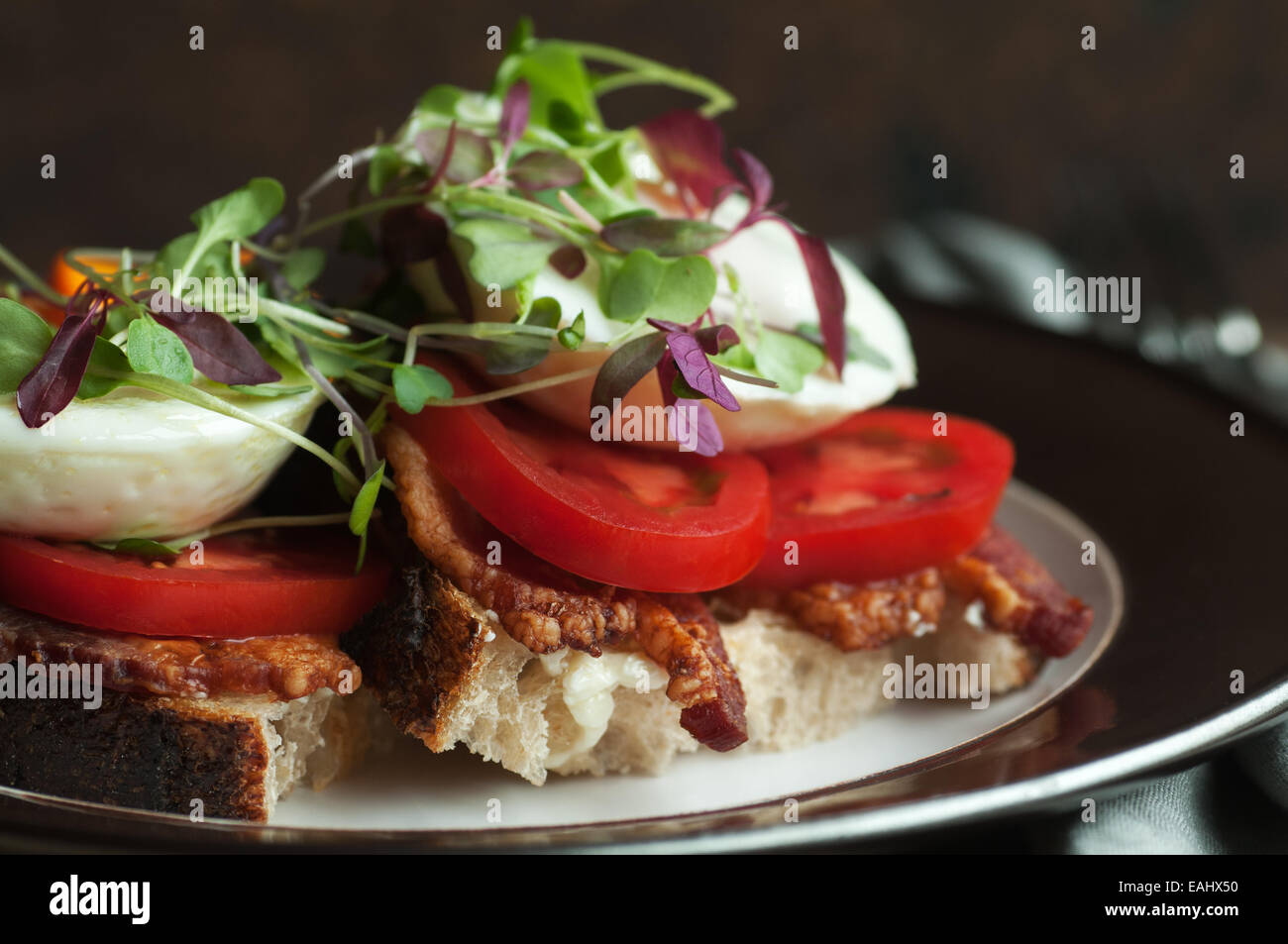 Colorful open faced breakfast sandwich with bacon, tomato, poached egg and sprouts on fresh country bread Stock Photo