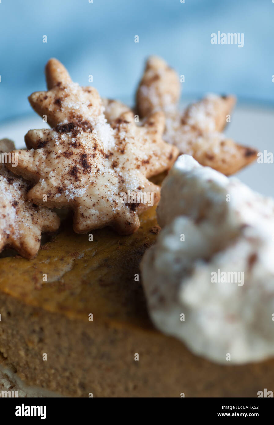 Gorgeous slice of pumpkin pie and whipped cream with cinnamon Stock Photo