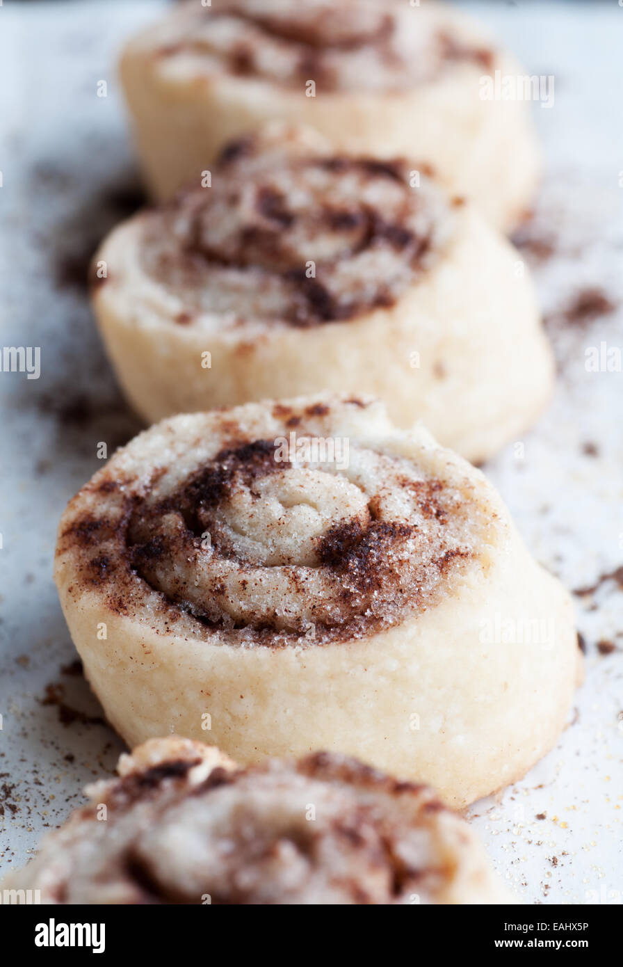 Cinnamon and sugar pastry treats freshly baked Stock Photo