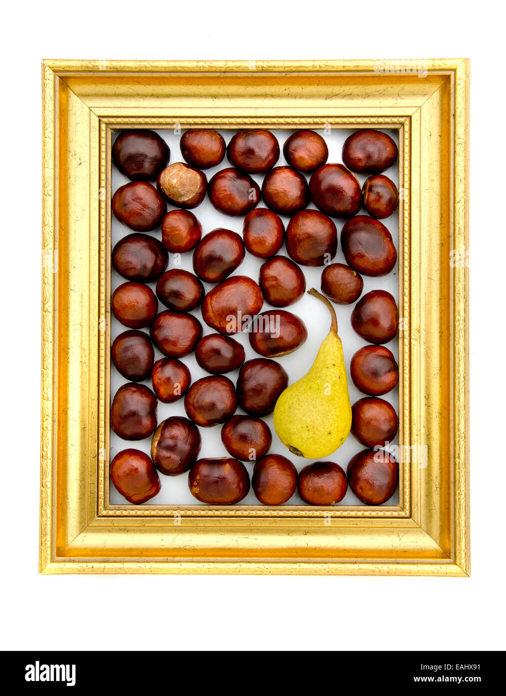 conker fruits and pear in in golden retro frame isolated on white Stock Photo