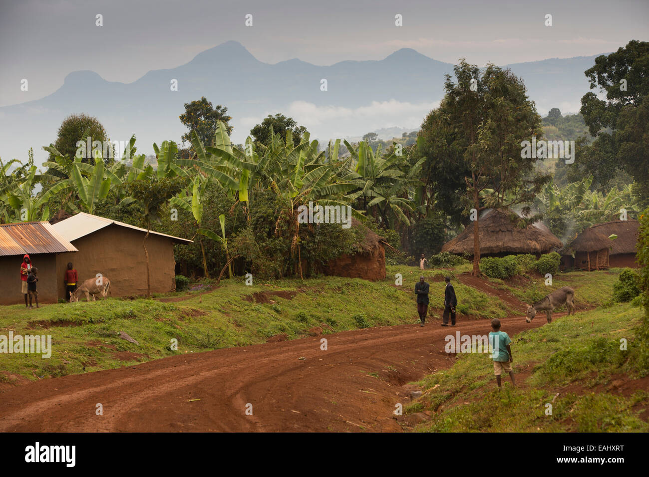 Bukwo District, Uganda is located on the eastern foothills of Mount Elgon. Stock Photo