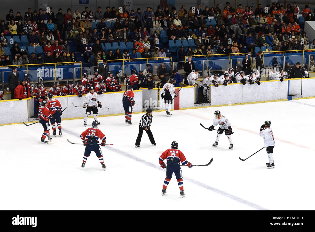 General view, NOVEMBER 15, 2014 Ice Hockey Asia League Ice Hockey
