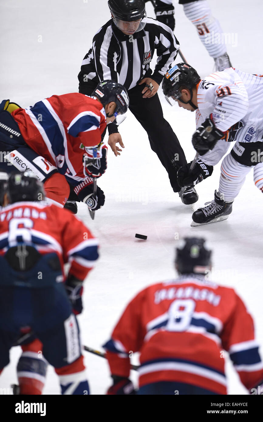 General view, NOVEMBER 15, 2014 Ice Hockey Asia League Ice Hockey