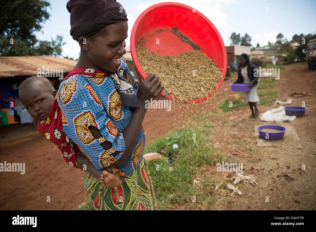Women winnow barley grain grown hires stock photography and images Alamy