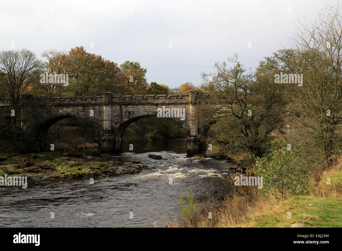 The Wharfe with Barden Bridge from Dales Way in Wharfedate at Bolton Abbey, Skipton, North Yorkshire, England Stock Photo