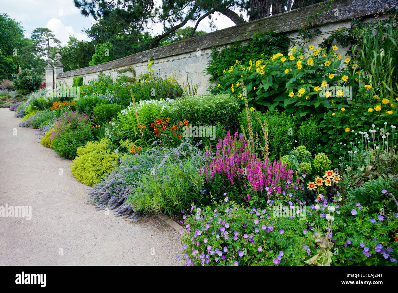 A colourful herbaceous border in the University's Botanical Gardens at Oxford England UK Stock Photo