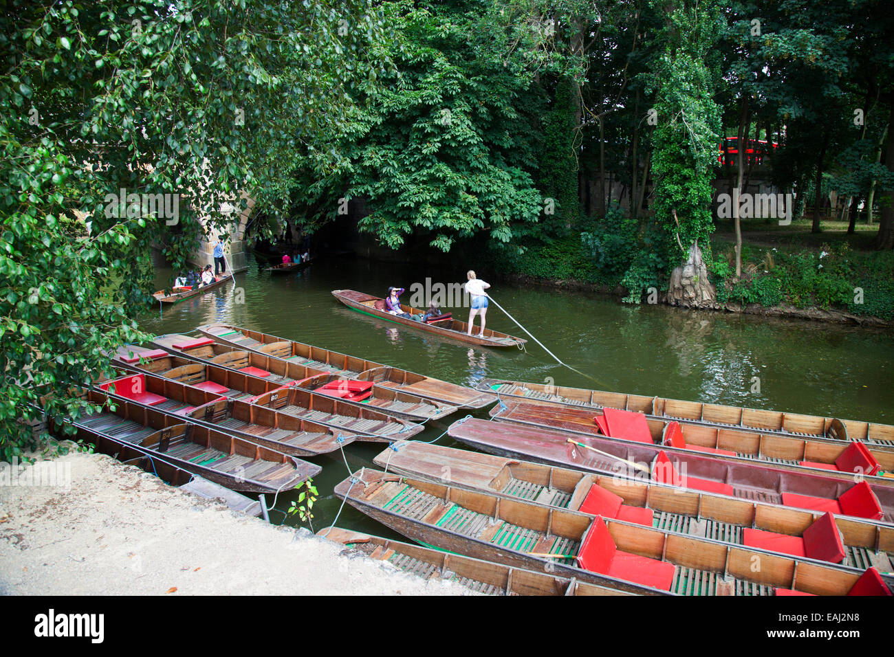 Punts moored at Magdalen Bridge on the River Cherwell in Oxford England UK Stock Photo