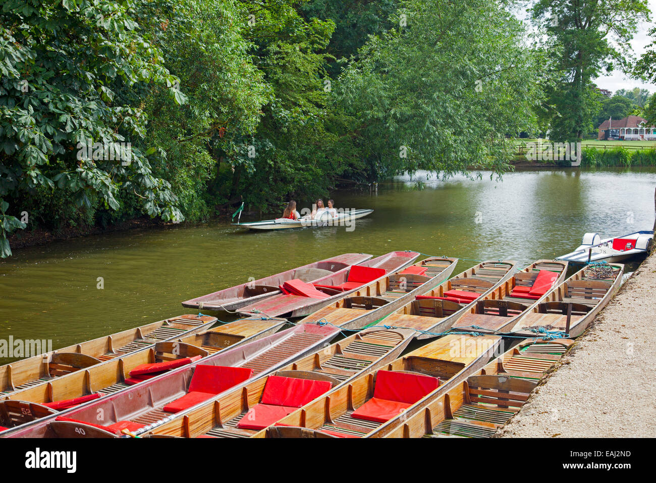 Punts moored at Magdalen Bridge on the River Cherwell in Oxford England UK Stock Photo