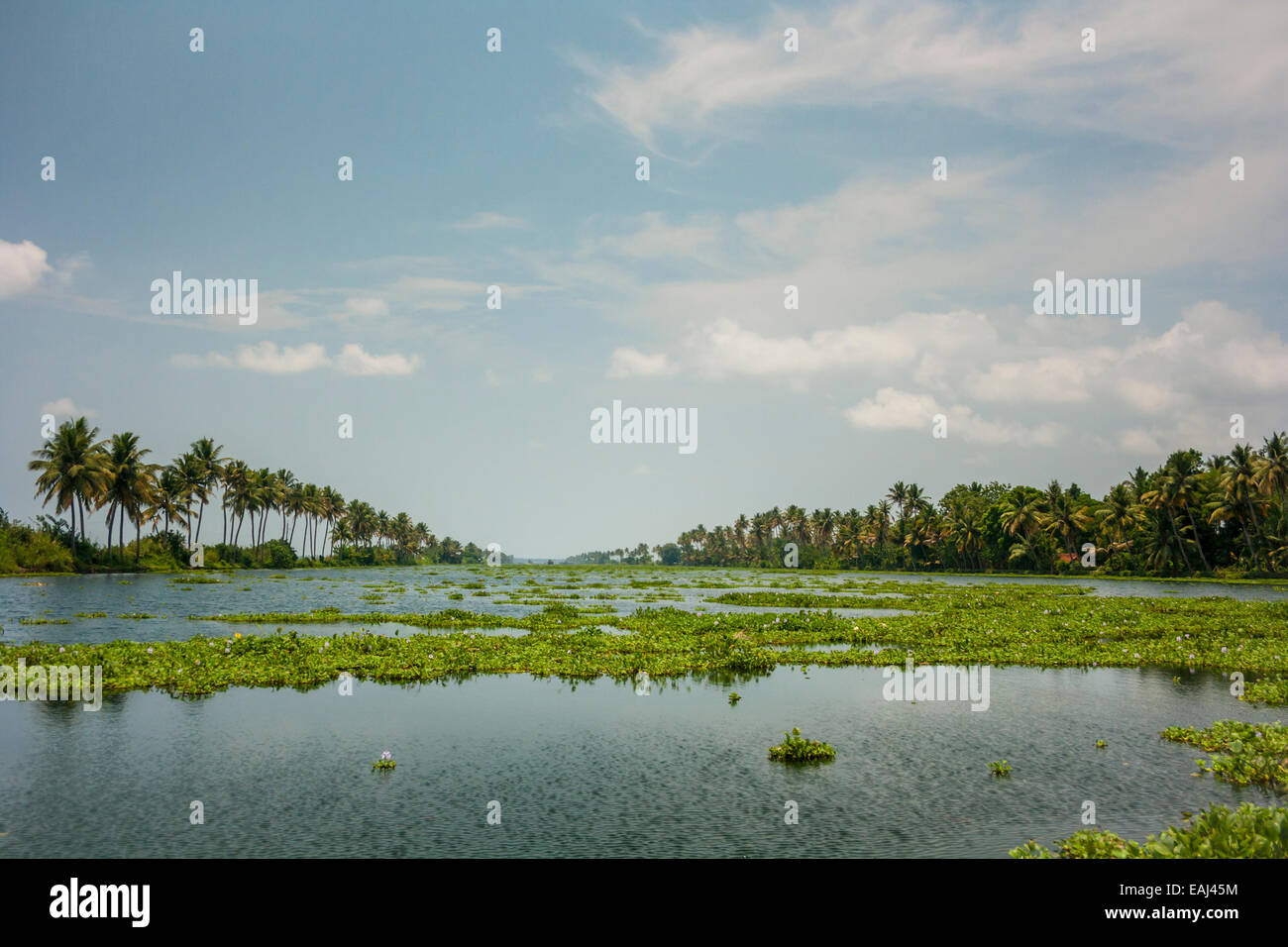 The Open Waterways Of The Kerala Backwaters And Ashtamudi Lake Stock The Open Waterways Of The Kerala Backwaters And Ashtamudi Lake Stock