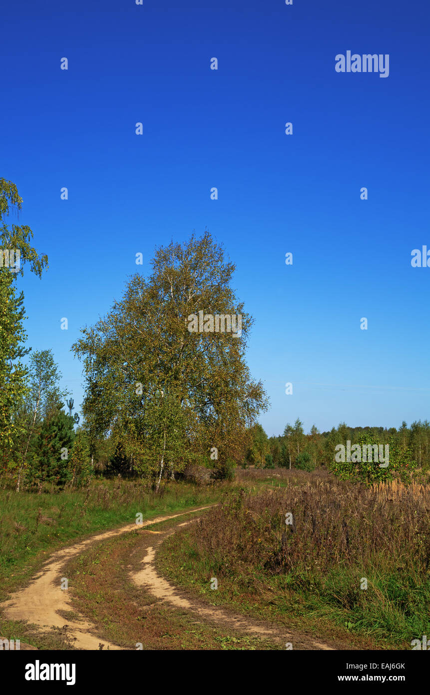 Landscape with sand road. Sunny day Stock Photo - Alamy