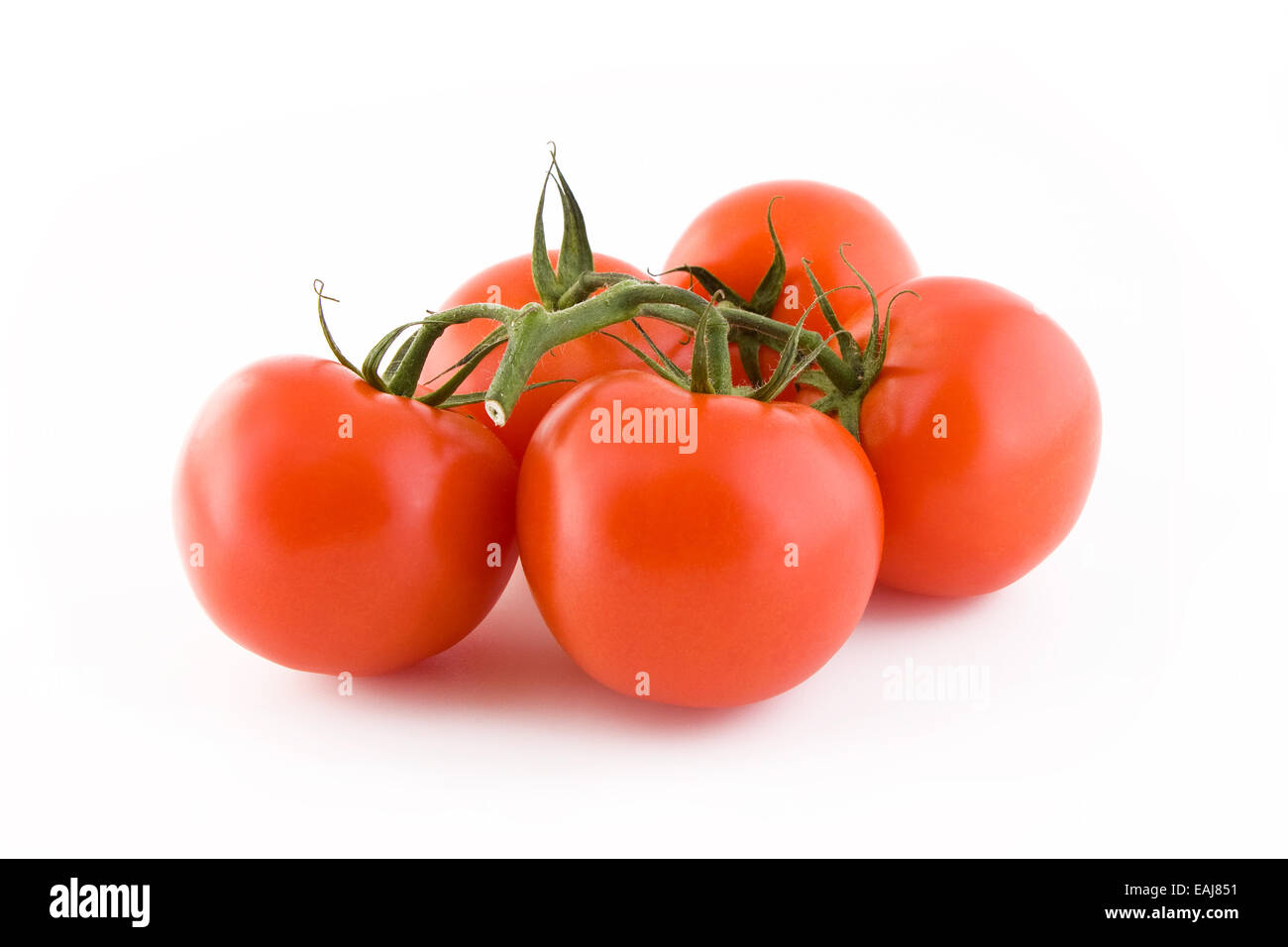 Bunch of fresh tomatoes isolated on white background, vegetables Stock Photo