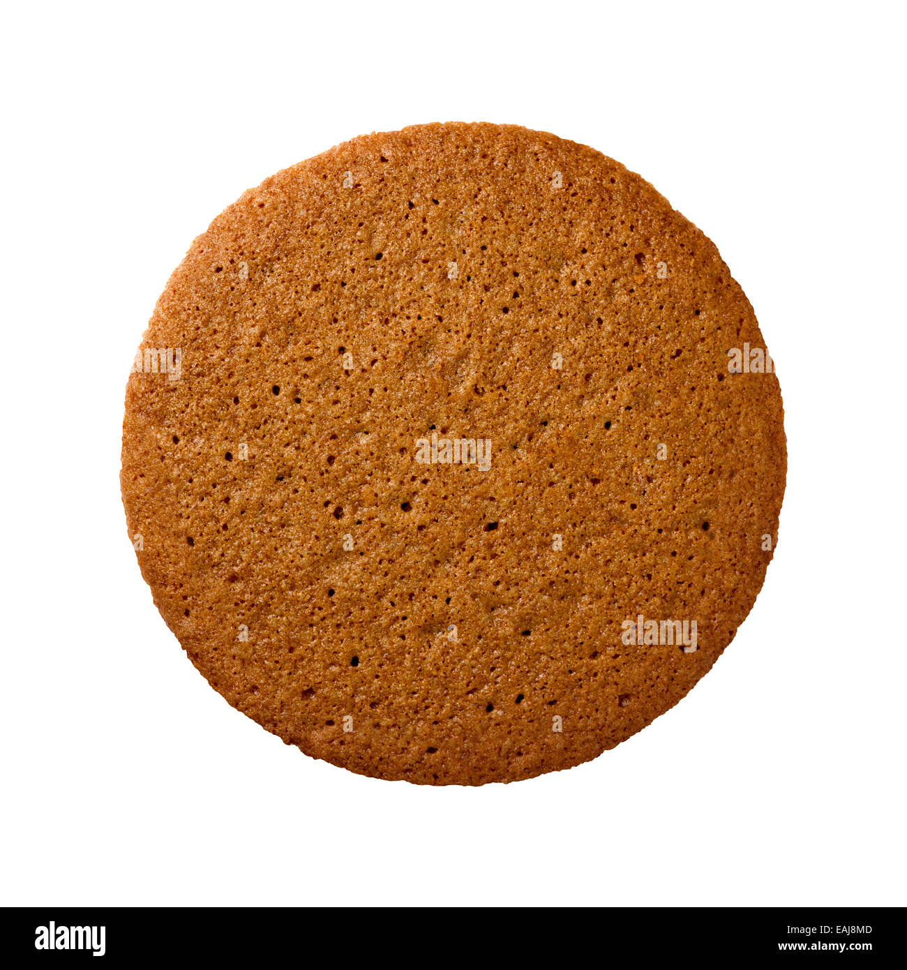 Aerial view of a single brown ginger snap cookie or biscuit. Stock Photo