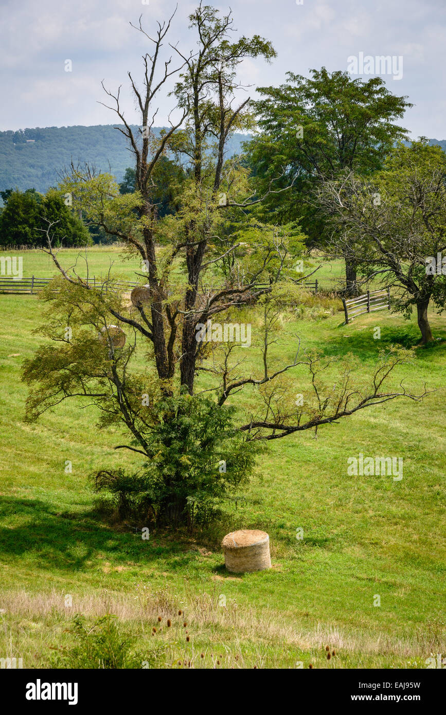 Sherrick Farm, Antietam National Battlefield, Sharpsburg, MD Stock