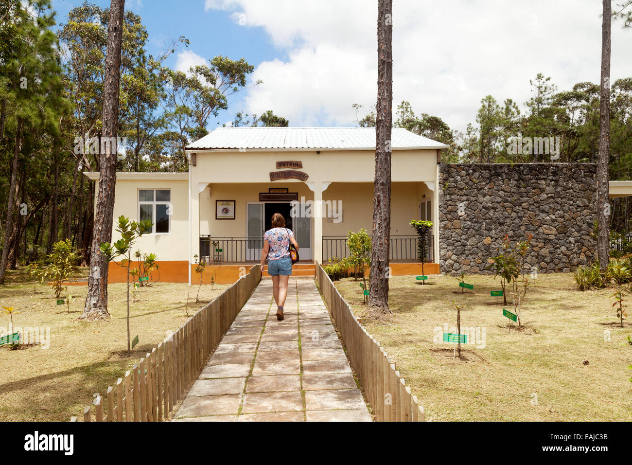 A tourist at the visitor centre, Petrin, Black River Gorges, National Park, Mauritius Stock Photo