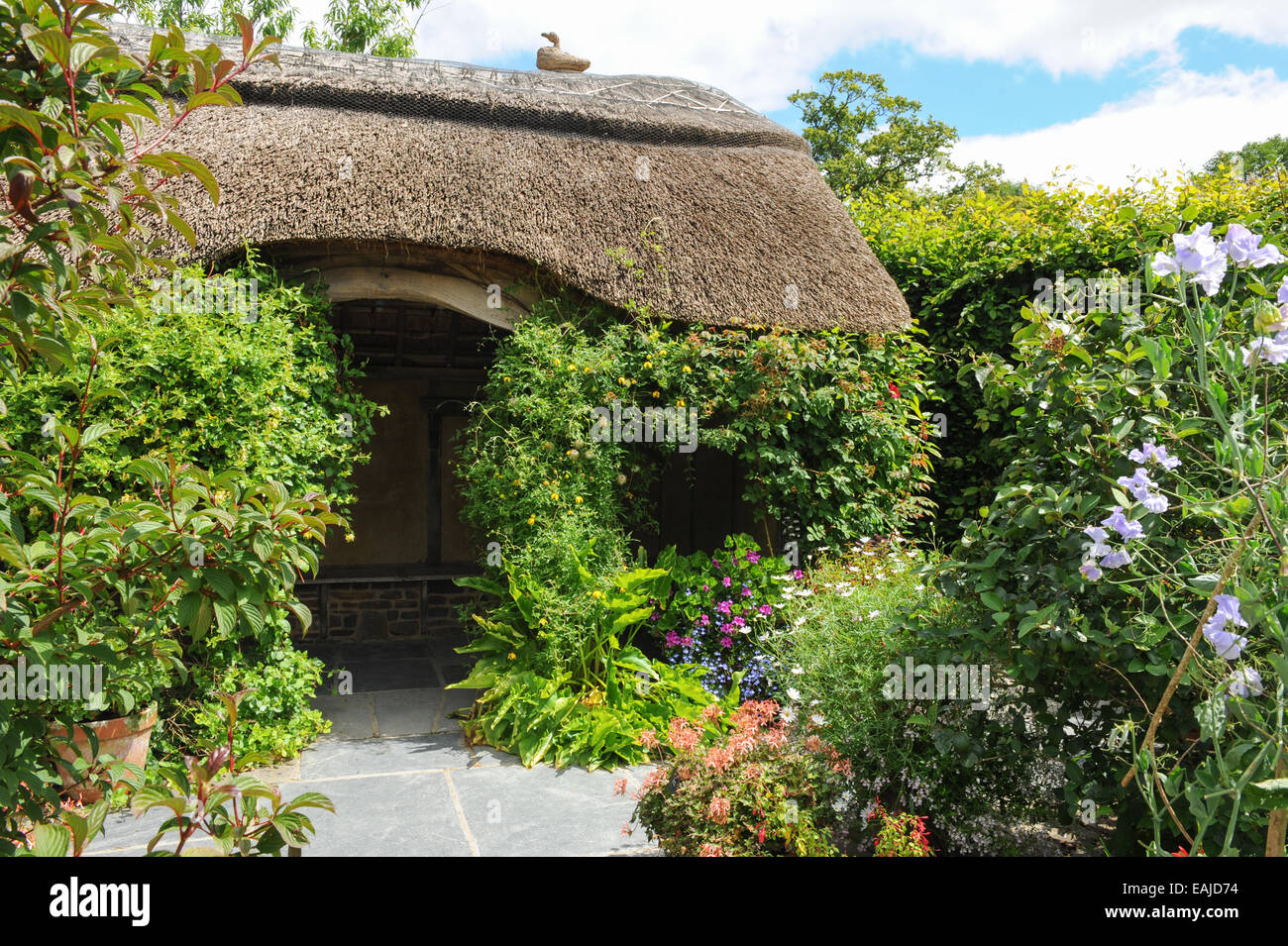 A thatched summerhouse in the Garden at Rosemoor, near Torrington and Bideford, North Devon, England, Uk Stock Photo