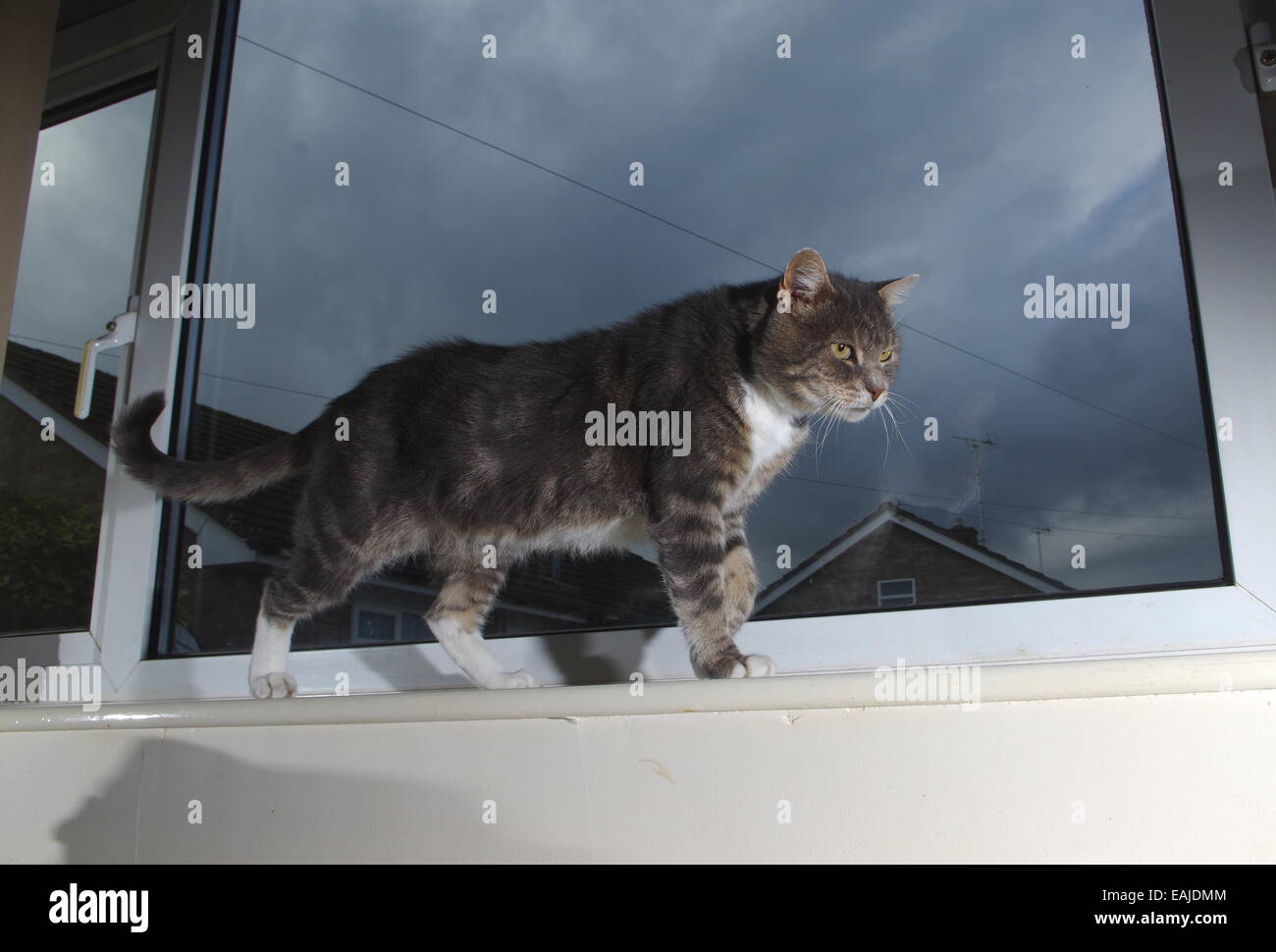 Upvc Windowsill Stock Photos Upvc Windowsill Stock Images Alamy