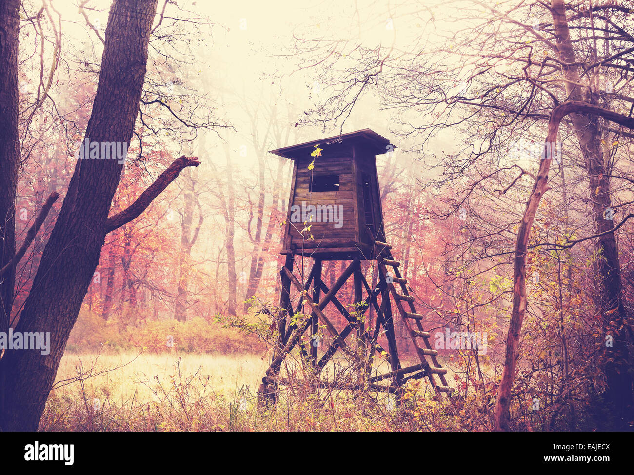 Vintage filtered photo of hunting pulpit in forest. Stock Photo