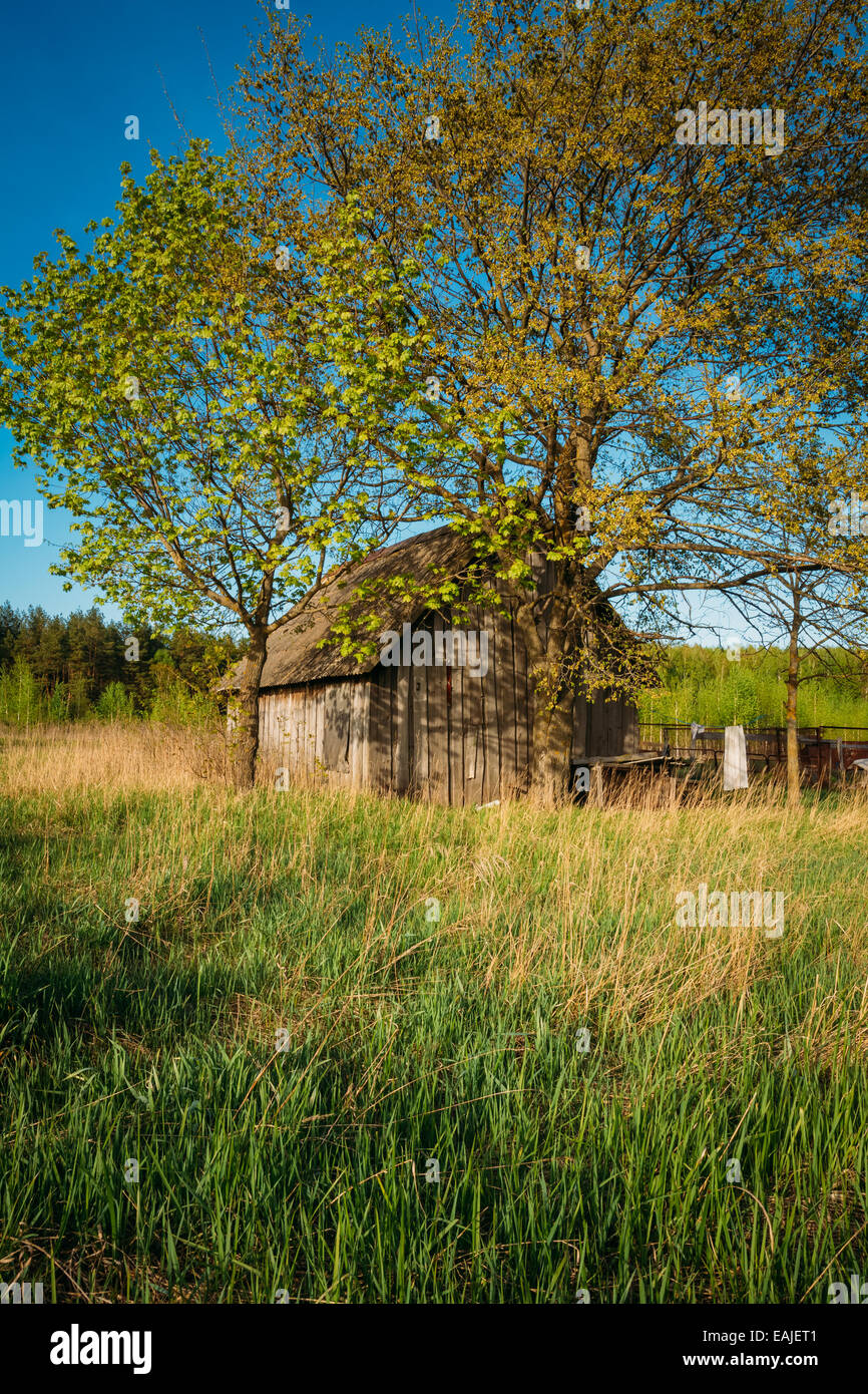 Russian Antique Wooden Village House In Russia In Summer, Spring Sunny ...
