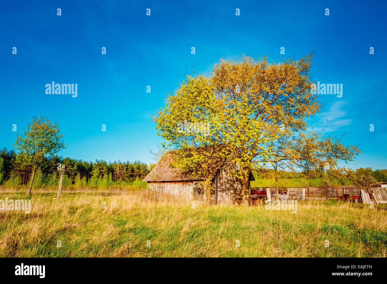 Russian Antique Wooden Village House In Russia In Summer, Spring Sunny ...