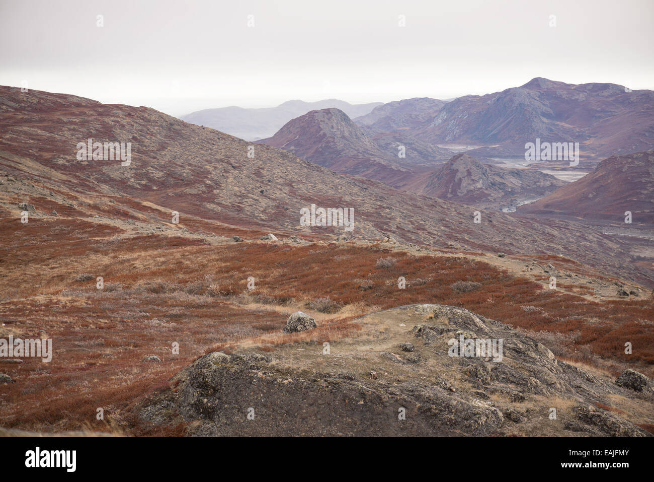 Arctic landscape in Greenland with mountains and brown vegetation in