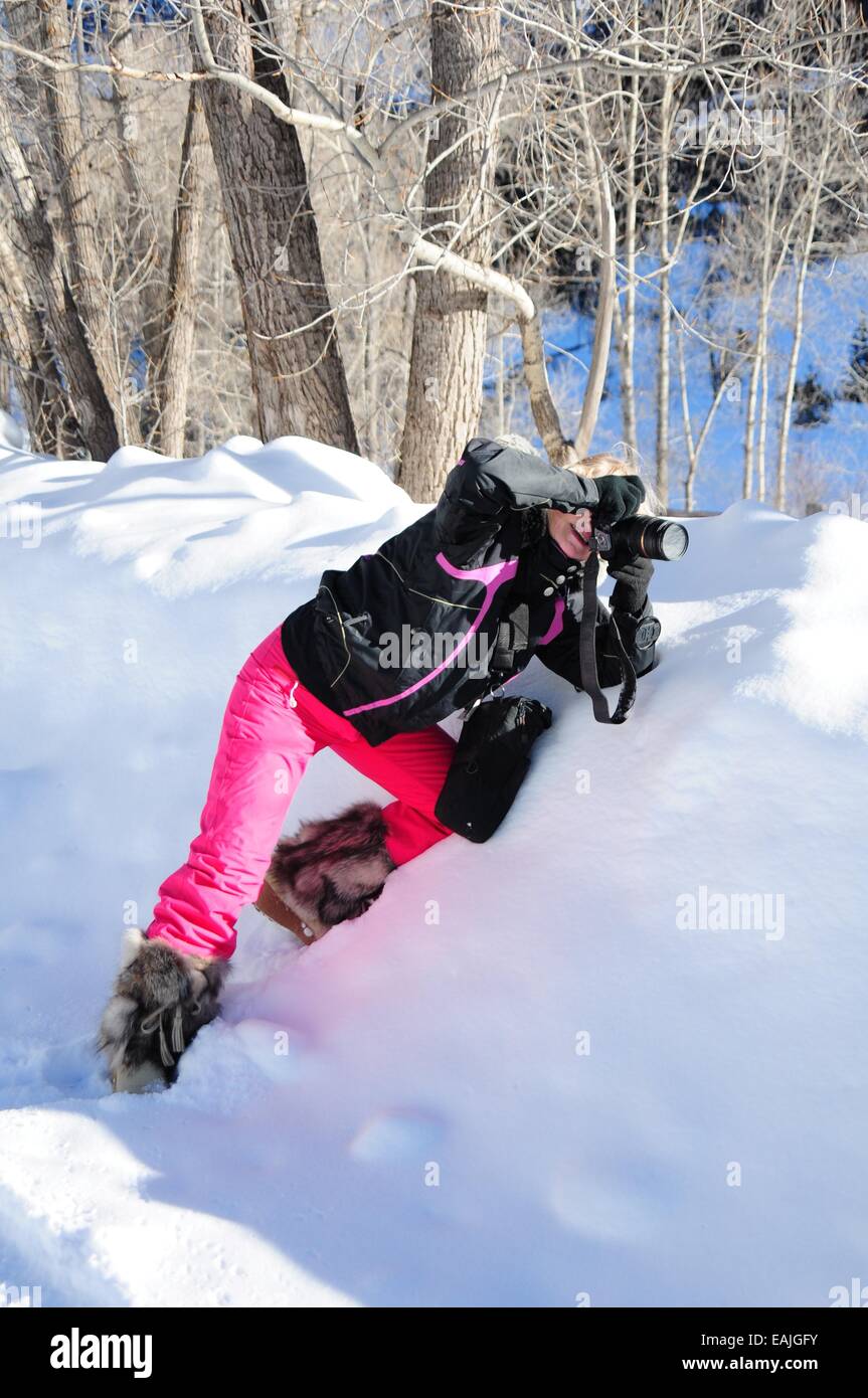 My sister photographing aspen along the road in snowbank. Stock Photo