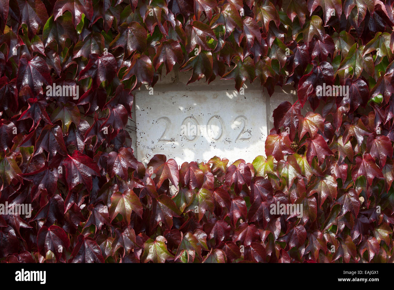 Ivy and date plaque 2002, Priory Court business park, Poulton, Gloucestershire Stock Photo