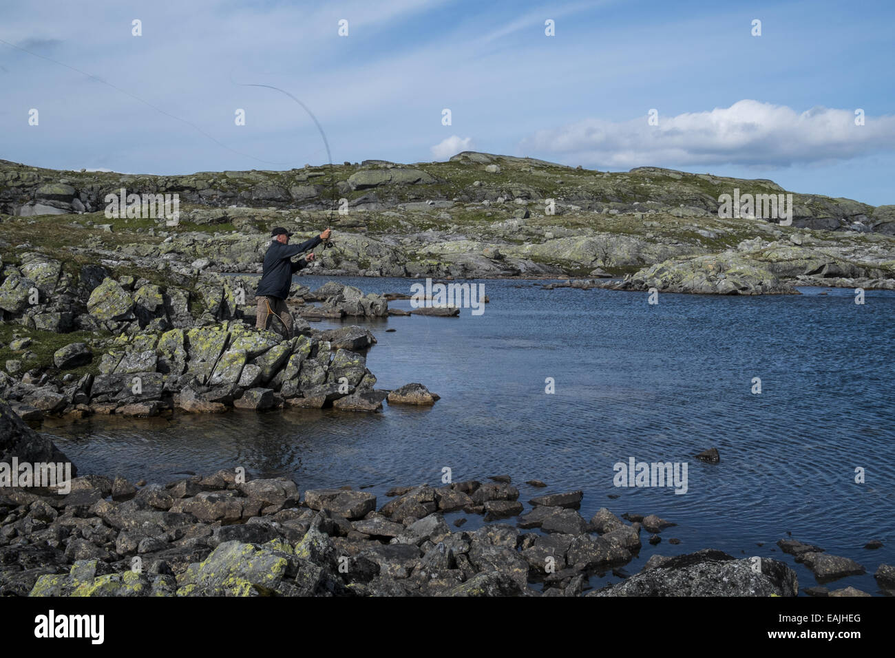 Trout fly fishing in a lake, Hardangervidda National park Norway Stock Photo