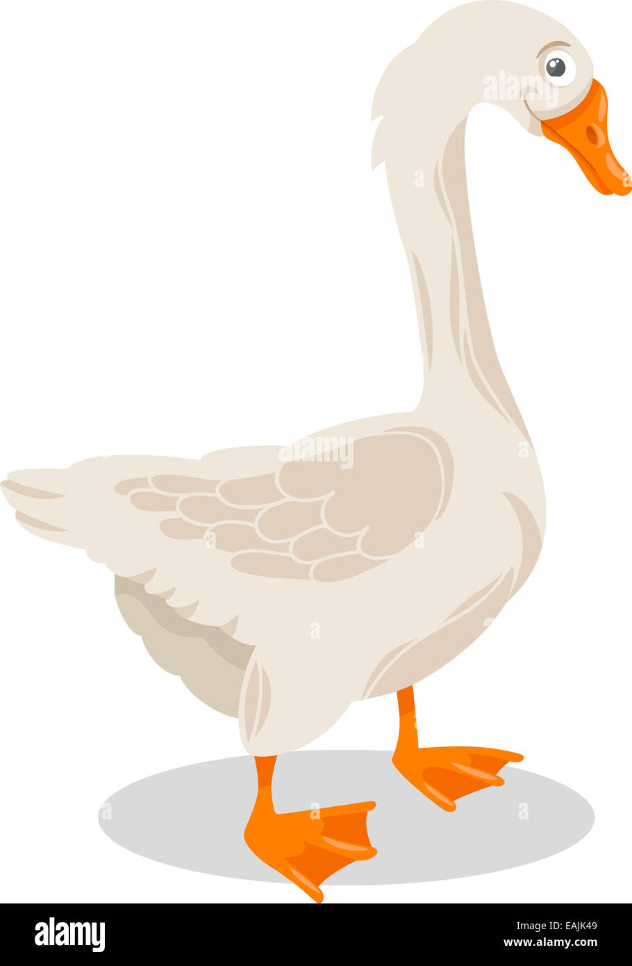 Cartoon Illustration of Funny Goose Farm Bird Animal Stock Photo