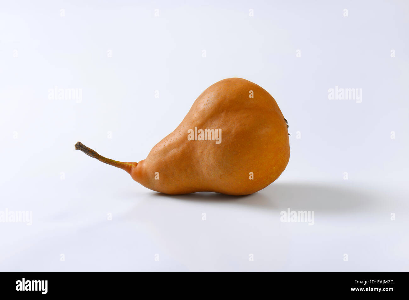 European pear with elongated slender neck and russeted skin Stock Photo
