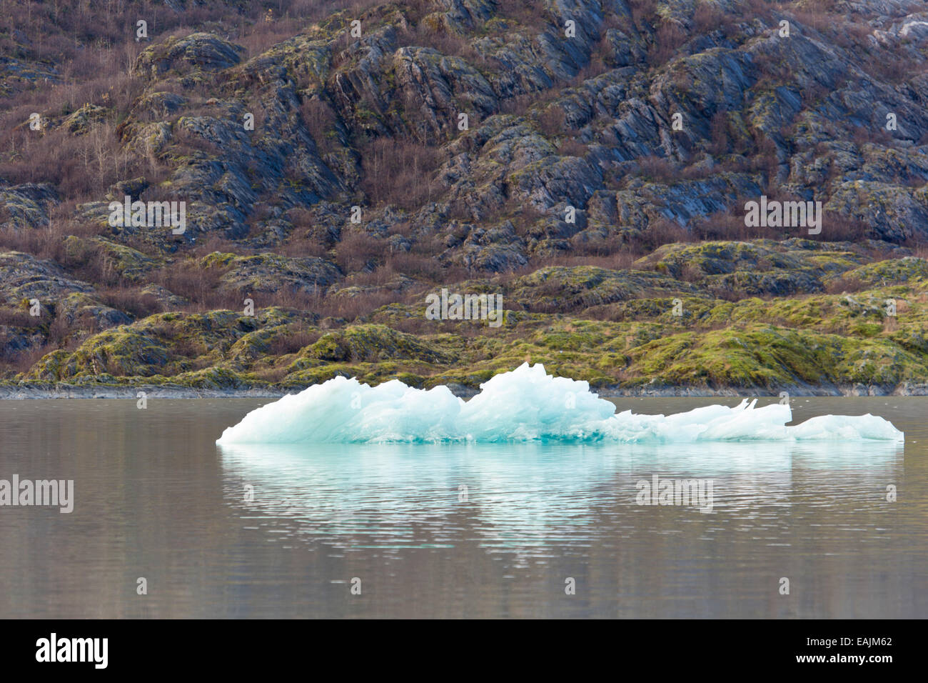 Ice on Mendenhall Glacier Lake displays hues of blue and reflect on the cold, glacial water. Stock Photo