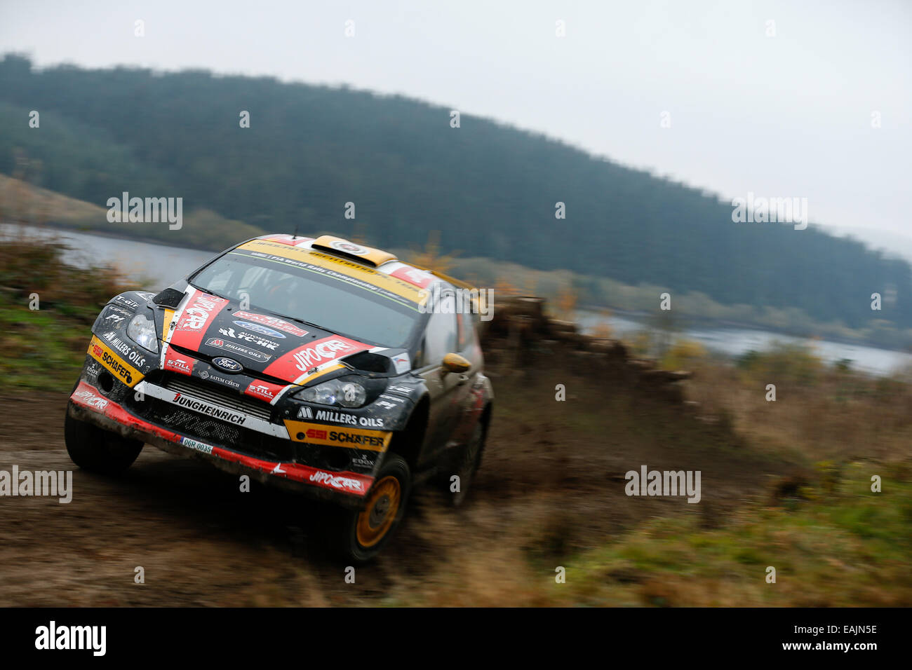 Cerrigydrudion, Wales. 16th Nov, 2014. FIA World Rally Championship, Wales Rally GB. Martin Prokop and Jan Tomanek of Czech Republic compete in the Jipocar Czech National Team Ford Fiesta RS WRC during the Alwen 2 Stage on Day Four. Credit:  Action Plus Sports/Alamy Live News Stock Photo