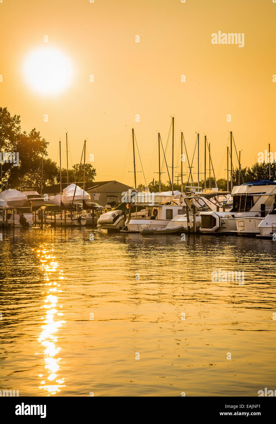 Golden glow on marina boats and water Stock Photo