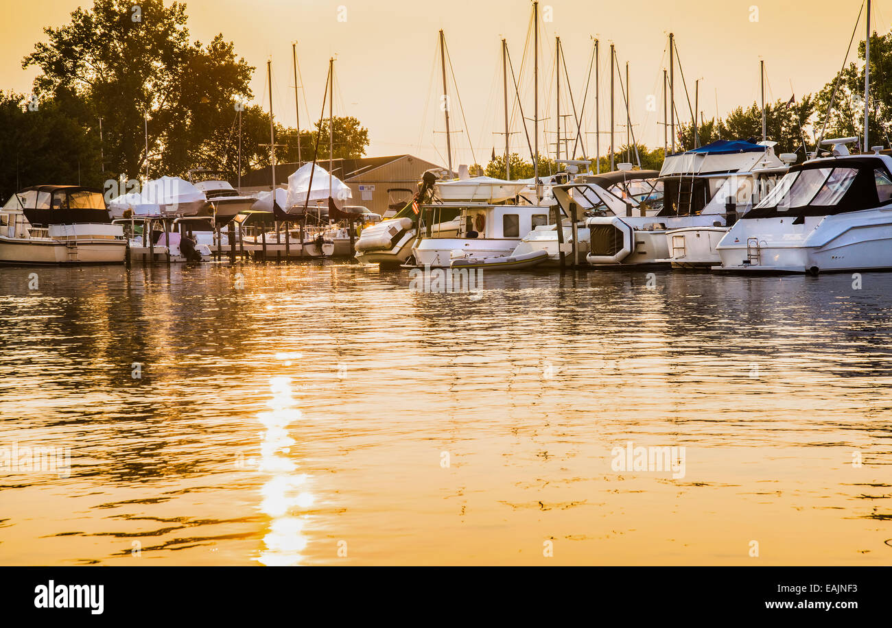 Golden glow on marina boats and water Stock Photo