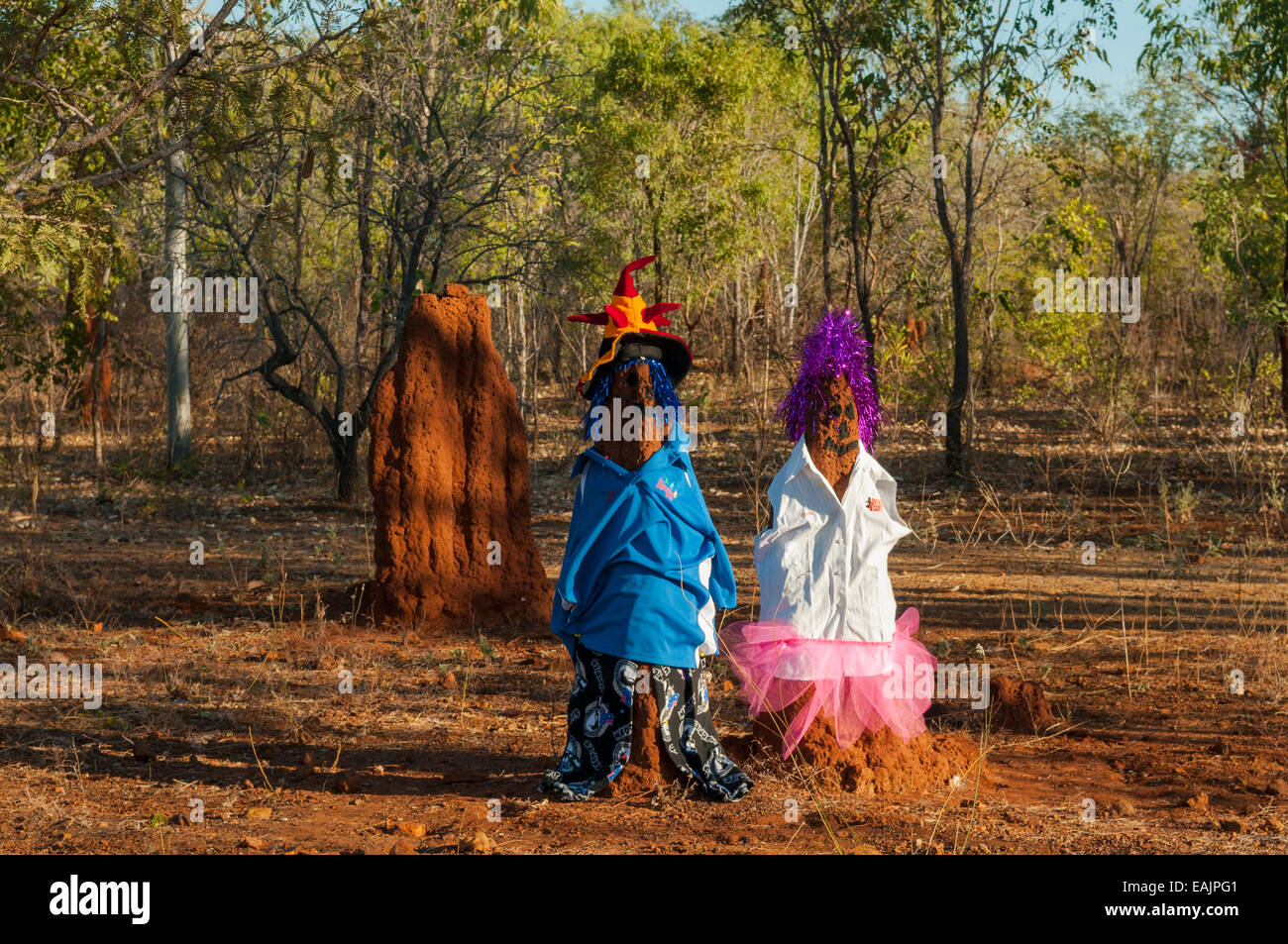 Dressed Termite Mounds, Mataranka, NT, Australia Stock Photo