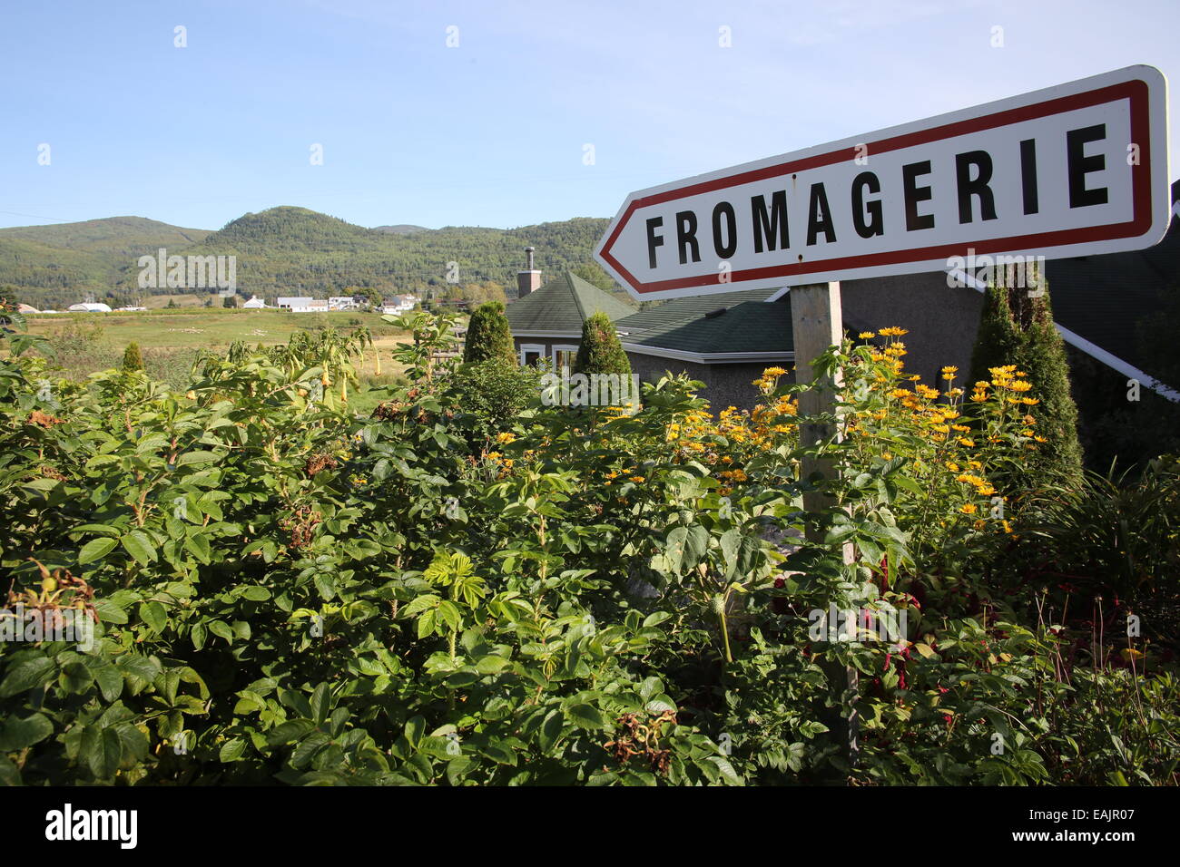 a cheese farm in the countryside of quebec city, canada Stock Photo Alamy