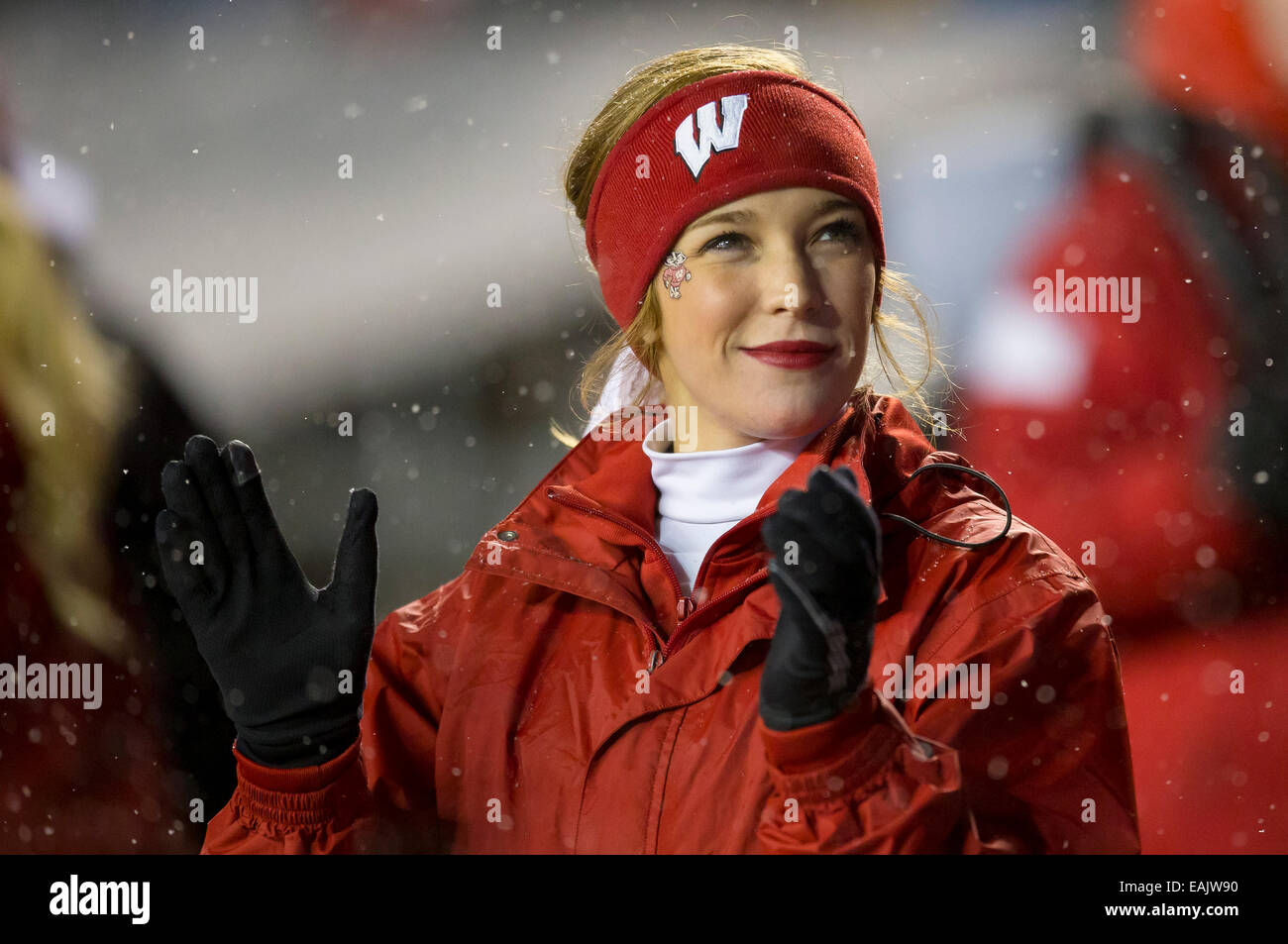 November 15, 2014: Wisconsin cheerleader during the NCAA Football game between the Nebraska Cornhuskers and the Wisconsin Badgers at Camp Randall Stadium in Madison, WI. Wisconsin defeated Nebraska 59-24. John Fisher/CSM Stock Photo