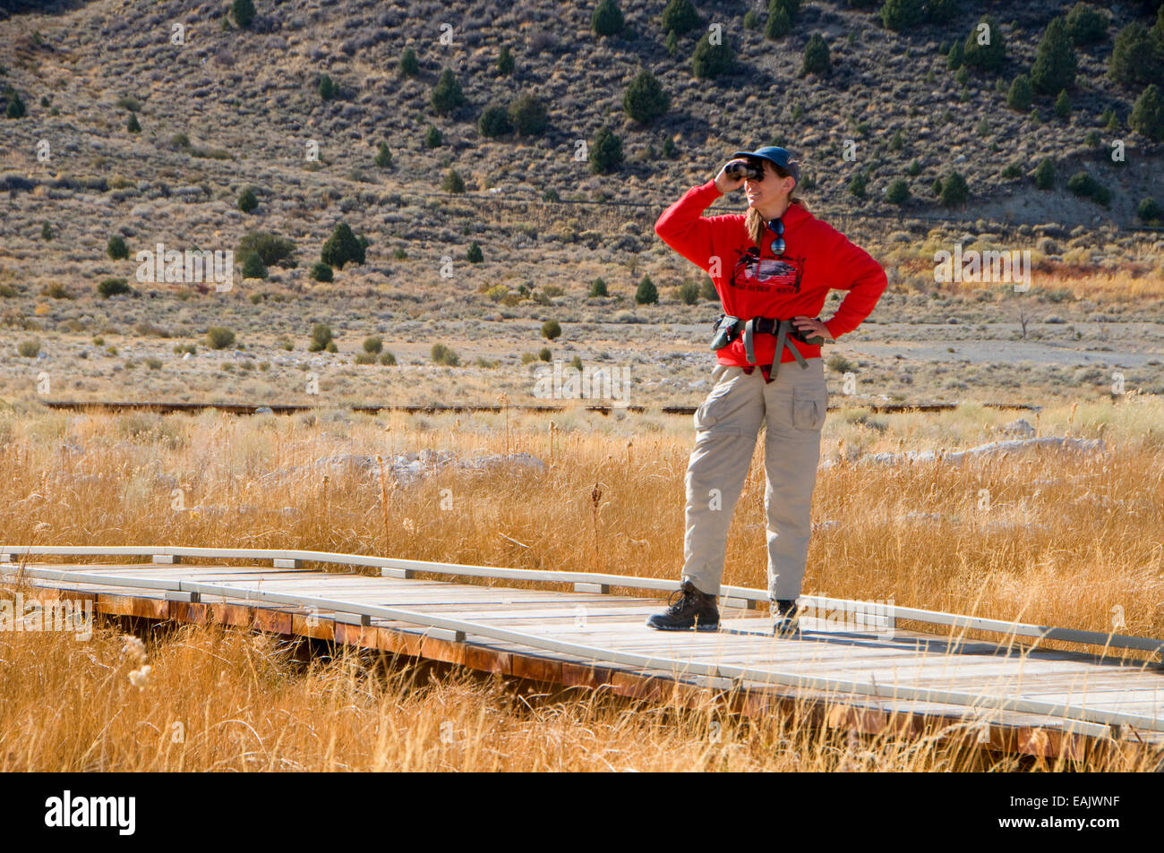 Birding from David Gaines Memorial Boardwalk at Old Marina, Mono Basin