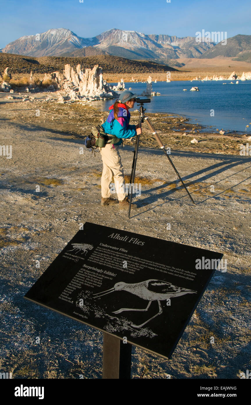 Birding at South Tufa with interpretive board, Mono Basin National