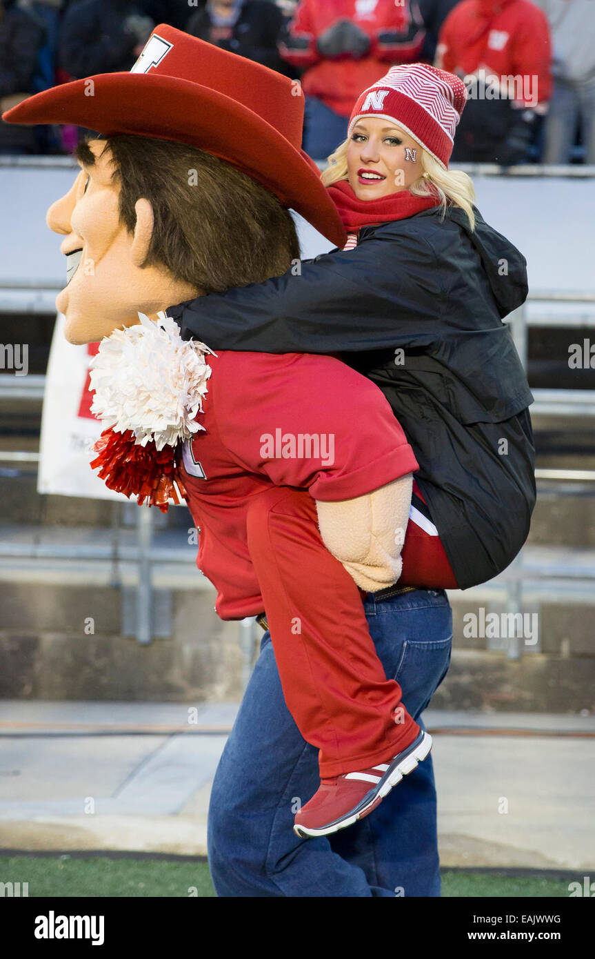 November 15, 2014: Nebraska cheerleader gets a ride from the mascot during the NCAA Football game between the Nebraska Cornhuskers and the Wisconsin Badgers at Camp Randall Stadium in Madison, WI. Wisconsin defeated Nebraska 59-24. John Fisher/CSM Stock Photo