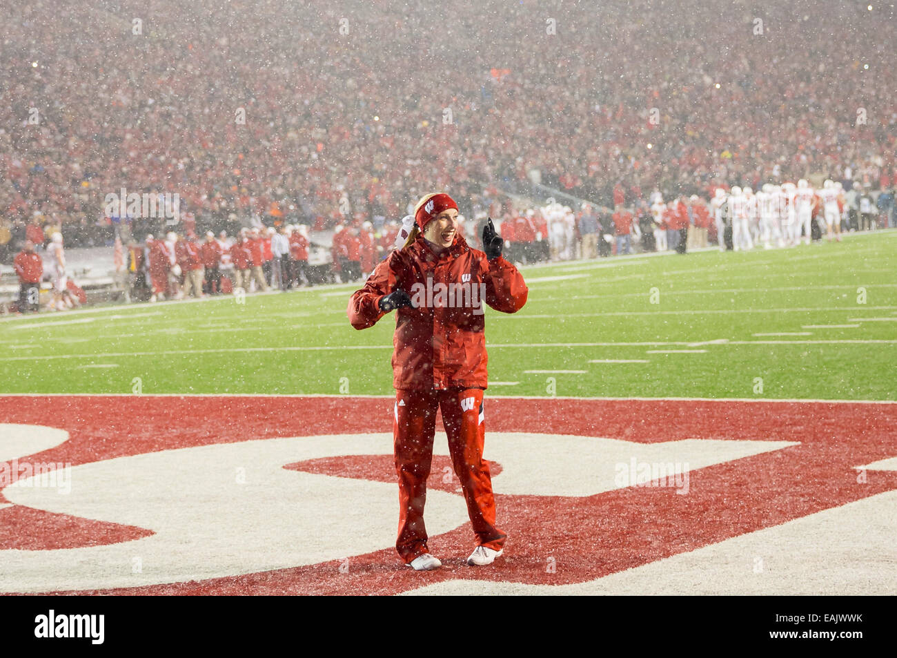 November 15, 2014: Wisconsin cheerleader in the snow during the NCAA Football game between the Nebraska Cornhuskers and the Wisconsin Badgers at Camp Randall Stadium in Madison, WI. Wisconsin defeated Nebraska 59-24. John Fisher/CSM Stock Photo