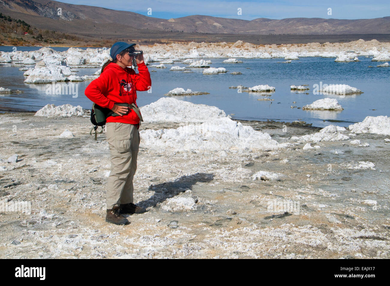 Birding at Old Marina Tufa, Mono Basin National Forest Scenic Area