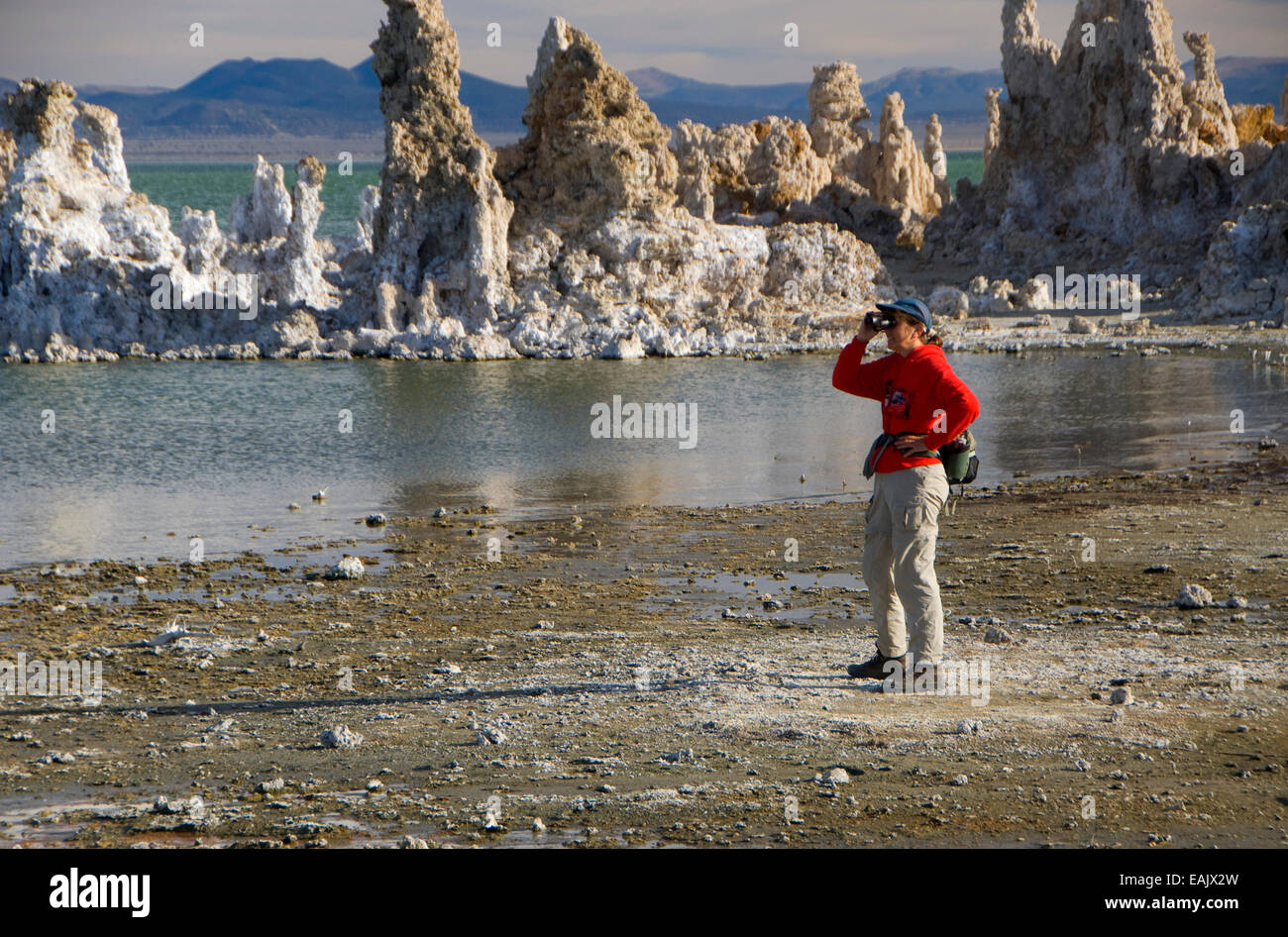 Birding at South Tufa, Mono Basin National Forest Scenic Area, Mono