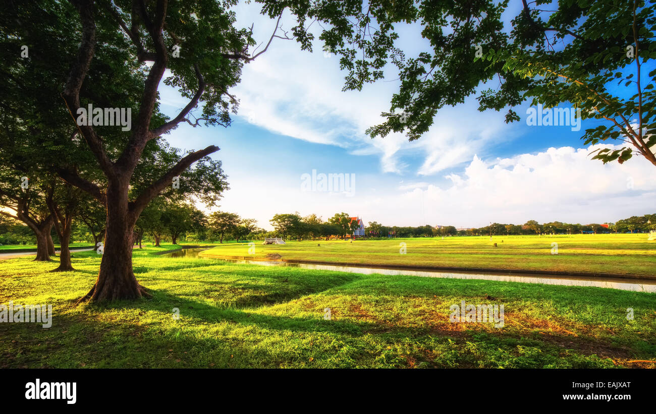 City park with green lawn and some trees, blue sky clouds Stock Photo ...
