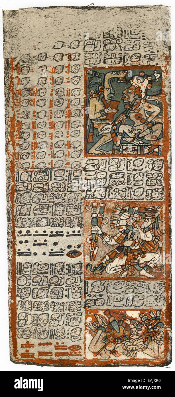 page of the Dresden Codex or Codex Dresdensis, a manuscript of the Maya from the 13th century, eine Seite des Codex Dresdensis o Stock Photo